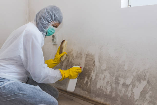 Best Bathroom Mold Remediation in Caruthersville, MO